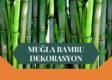 MUĞLA BAMBU DEKORASYON, BAMBU DEKORASYON MUĞLA, YAPAY BAMBU DEKORASYON MUĞLA, MUĞLA HASIR BAMBU DEKORASYON, HASIR BAMBU DEKORASYON MUĞLA, MUĞLA YAPAY BAMBU DEKORASYON, MUĞLA BAMBU EV DEKORASYON, BAMBU EV DEKORASYON MUĞLA