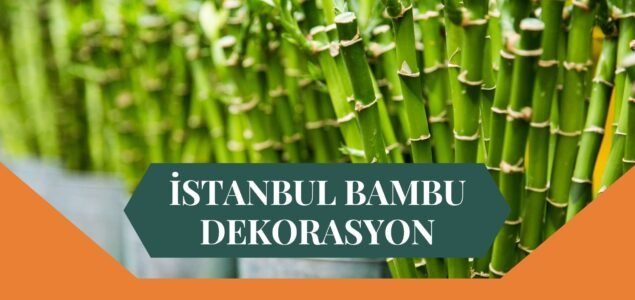 İSTANBUL BAMBU DEKORASYON, BAMBU DEKORASYON İSTANBUL, YAPAY BAMBU DEKORASYON İSTANBUL, İSTANBUL HASIR BAMBU DEKORASYON, HASIR BAMBU DEKORASYON İSTANBUL, İSTANBUL YAPAY BAMBU DEKORASYON, İSTANBUL BAMBU EV DEKORASYON, BAMBU EV DEKORASYON İSTANBUL