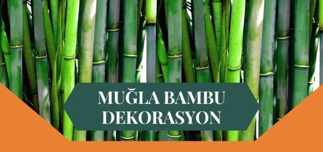 MUĞLA BAMBU DEKORASYON, BAMBU DEKORASYON MUĞLA, YAPAY BAMBU DEKORASYON MUĞLA, MUĞLA HASIR BAMBU DEKORASYON, HASIR BAMBU DEKORASYON MUĞLA, MUĞLA YAPAY BAMBU DEKORASYON, MUĞLA BAMBU EV DEKORASYON, BAMBU EV DEKORASYON MUĞLA