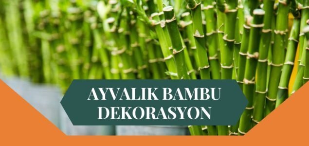 AYVALIK BAMBU DEKORASYON, BAMBU DEKORASYON AYVALIK, YAPAY BAMBU DEKORASYON AYVALIK, AYVALIK HASIR BAMBU DEKORASYON, HASIR BAMBU DEKORASYON AYVALIK, AYVALIK YAPAY BAMBU DEKORASYON, AYVALIK BAMBU EV DEKORASYON, BAMBU EV DEKORASYON AYVALIK
