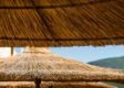 BAMBU ÇATI FETHİYE, ÇARDAK ÜSTÜ HASIR FETHİYE, FETHİYE BAMBU ÇATI, FETHİYE ÇARDAK ÜSTÜ HASIR, FETHİYE HASIR ÇATI, FETHİYE HASIR GÖLGELİK, HASIR ÇATI FETHİYE, HASIR GÖLGELİK FETHİYE